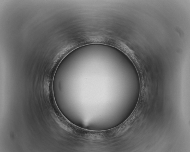 X0000113220106200909171603