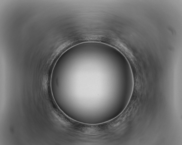 X0000113220107200909171603