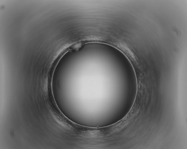 X0000113220108200909171603