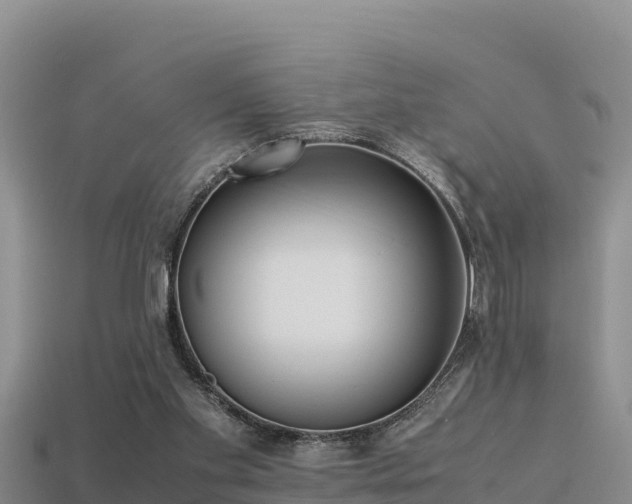 X0000113220109200909171603