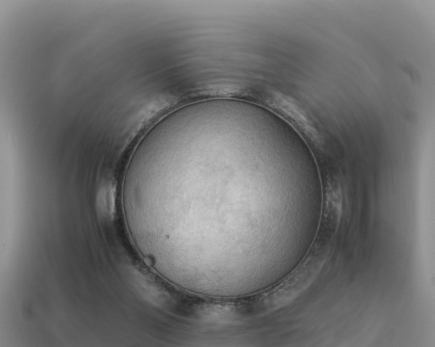 X0000113220110200909171603