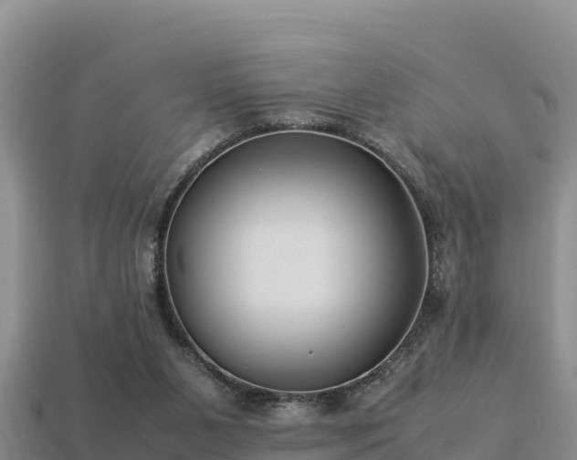 X0000113220111200909171603