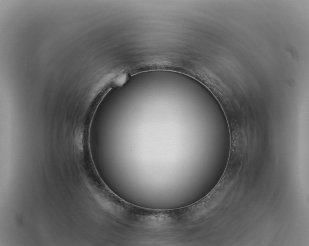 X0000113220112200909171603