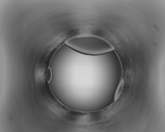 X0000113220116200909171603