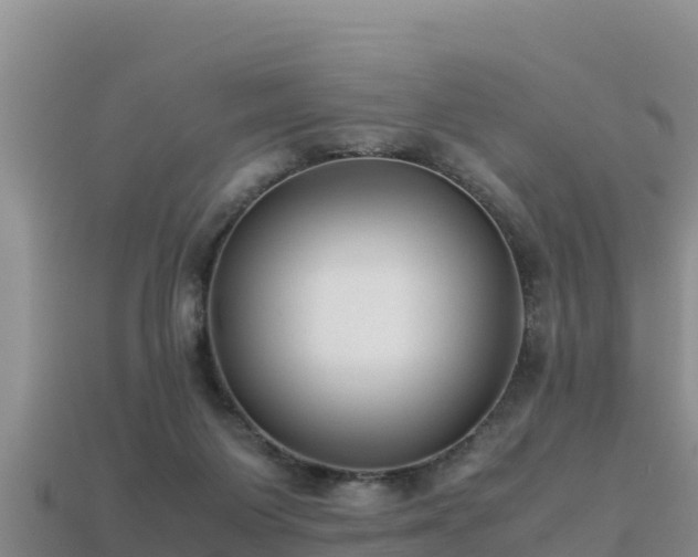 X0000113220119200909171603