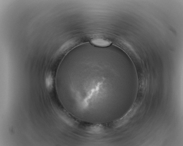 X0000113220124200909171603