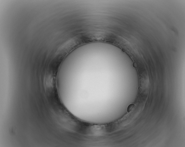 X0000113220126200909171603