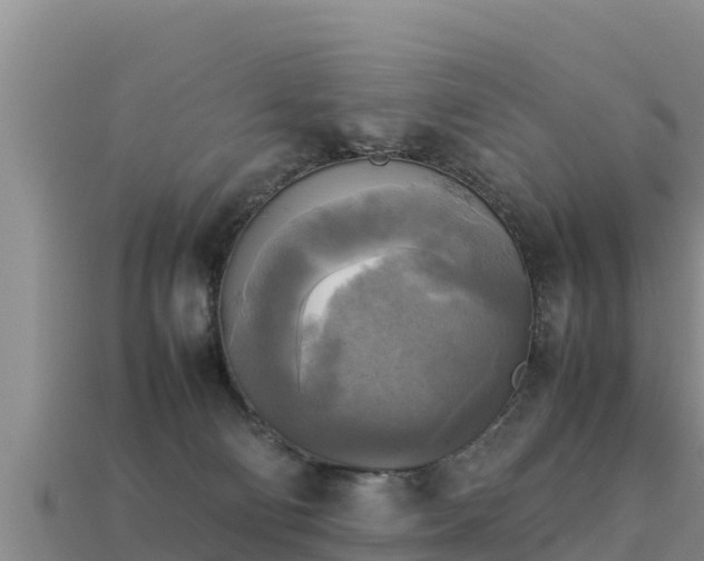 X0000113220130200909171603