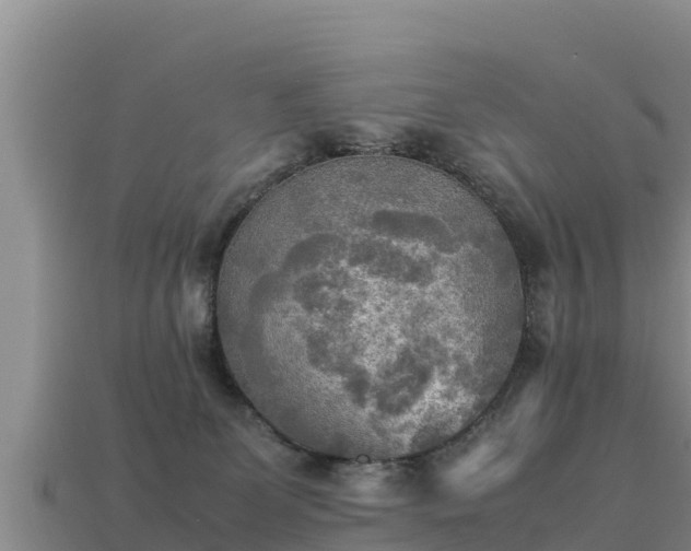 X0000113220131200909171603