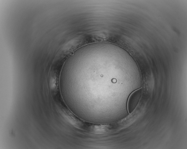 X0000113220134200909171603