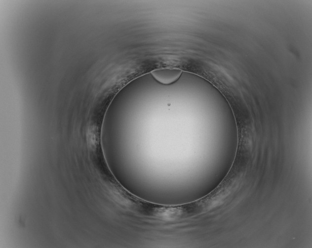 X0000113220135200909171603