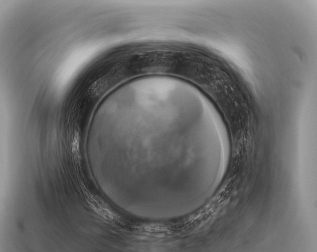 X0000113220146200909171602