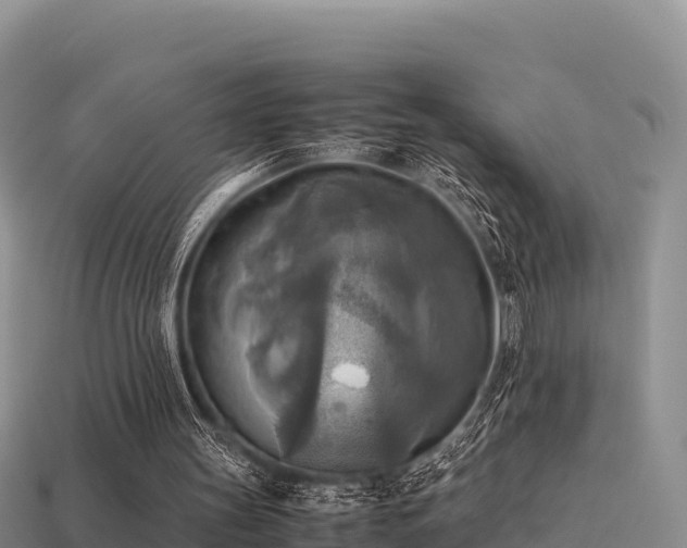 X0000113220147200909171602