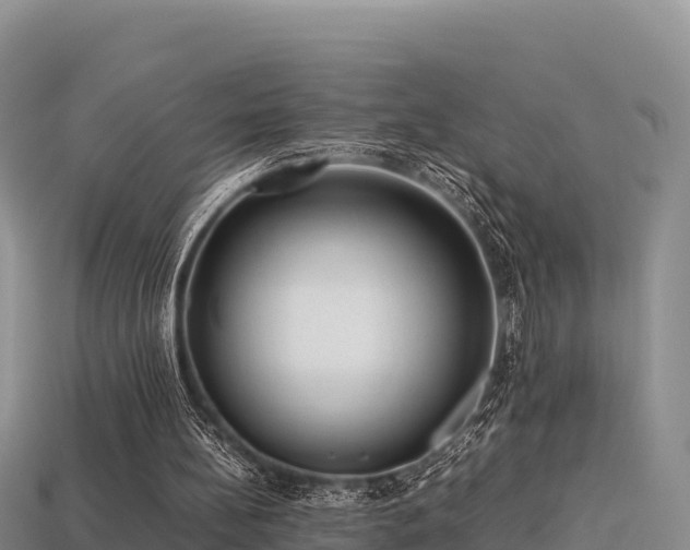 X0000113220148200909171602