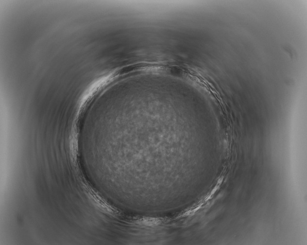 X0000113220149200909171602