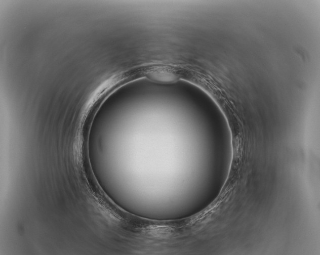 X0000113220150200909171602