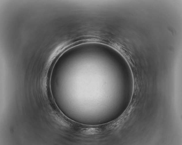 X0000113220151200909171602