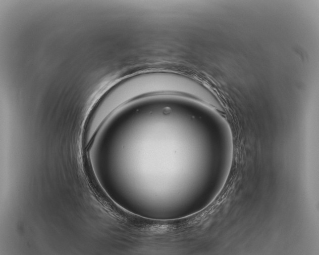 X0000113220152200909171602