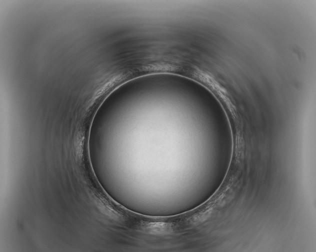 X0000113220153200909171602