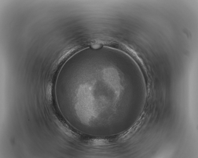 X0000113220154200909171602