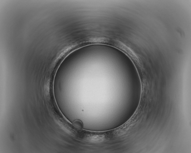 X0000113220155200909171602