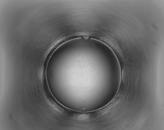 X0000113220156200909171602