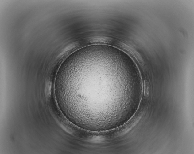 X0000113220157200909171602