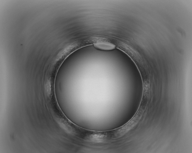 X0000113220158200909171602