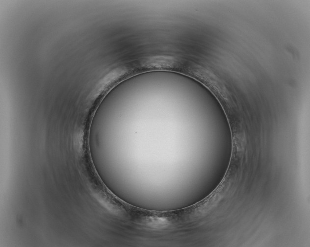 X0000113220159200909171602