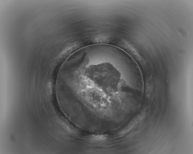 X0000113220161200909171602