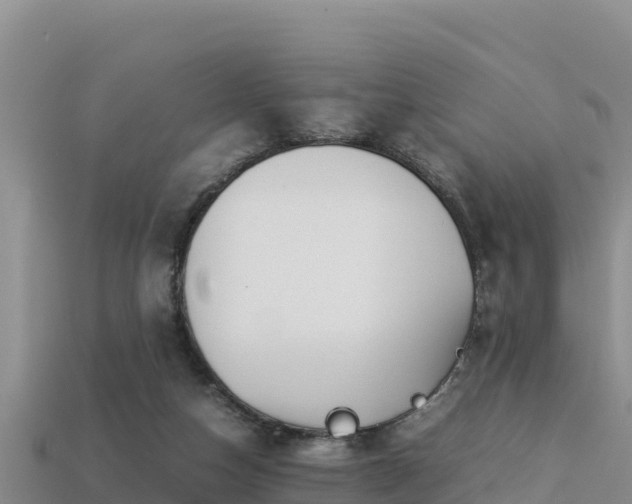 X0000113220162200909171602