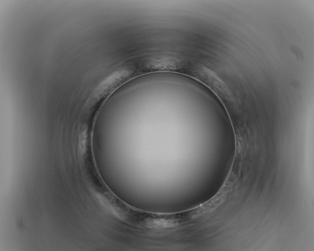 X0000113220163200909171602