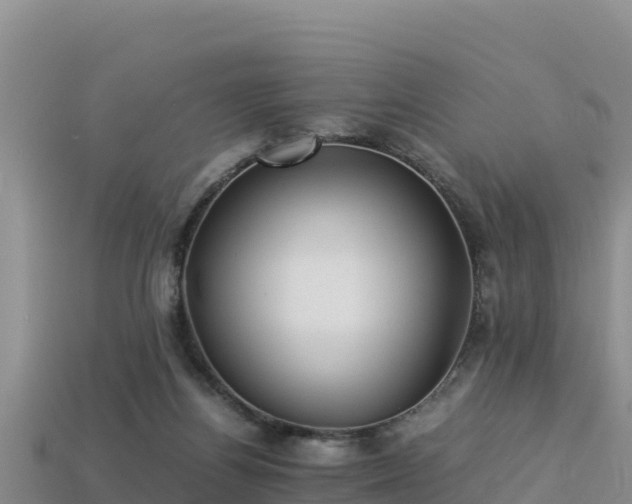 X0000113220164200909171602