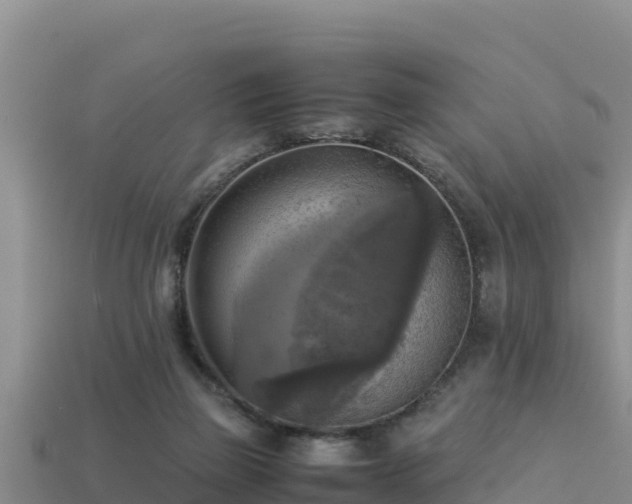 X0000113220165200909171602