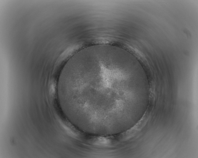 X0000113220166200909171602