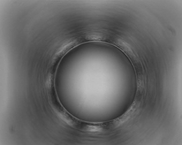 X0000113220167200909171602