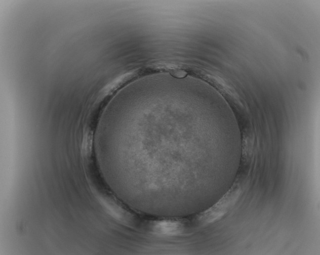 X0000113220168200909171602