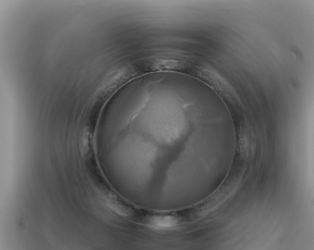 X0000113220169200909171602