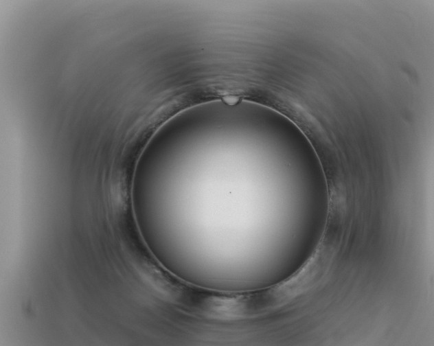 X0000113220170200909171602