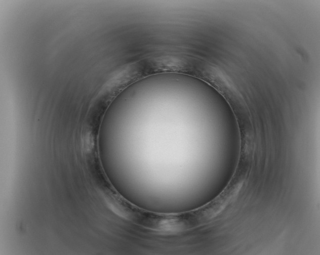 X0000113220173200909171602