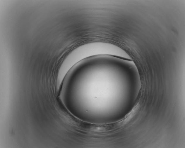 X0000113220174200909171602