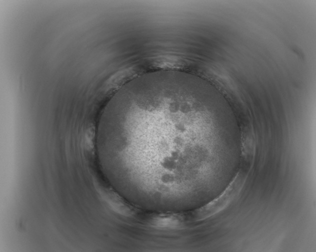 X0000113220175200909171602