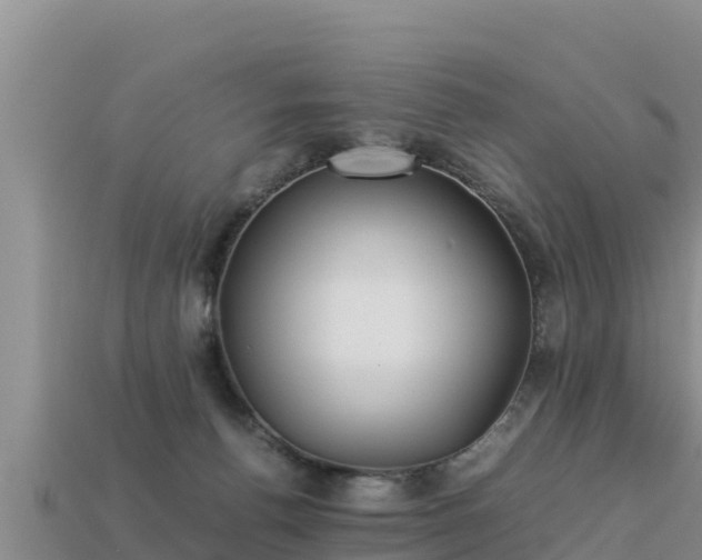 X0000113220176200909171602