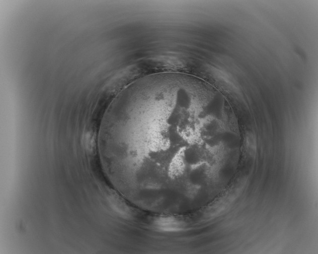 X0000113220177200909171602