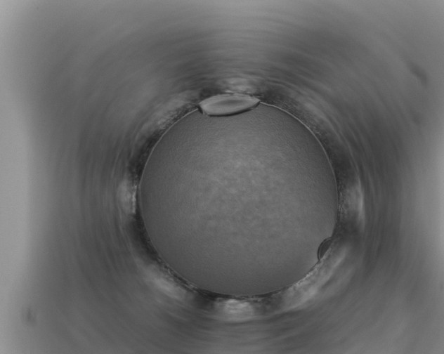 X0000113220180200909171602