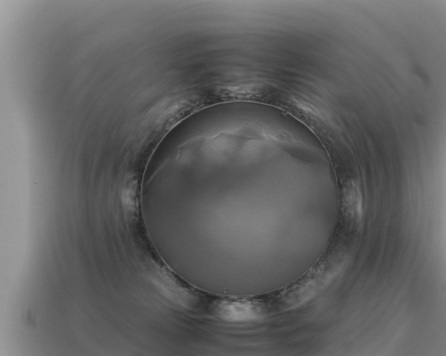 X0000113220181200909171602