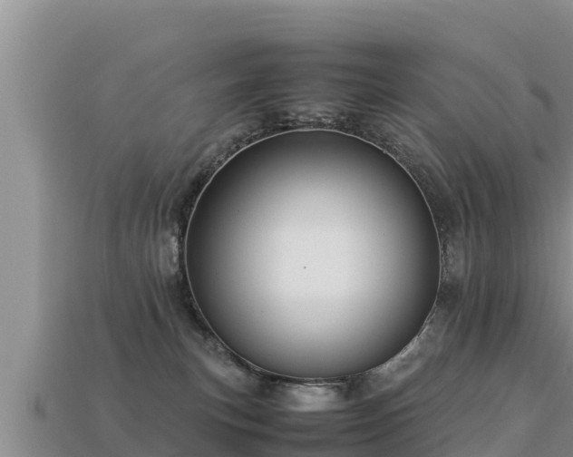 X0000113220183200909171602