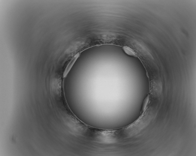 X0000113220184200909171602