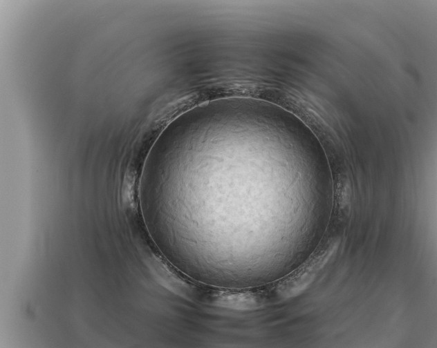 X0000113220185200909171602