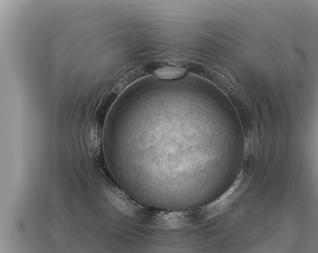 X0000113220186200909171602